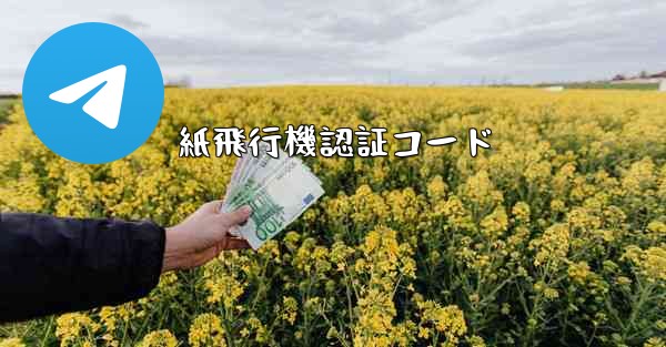 紙飛行機認証コード