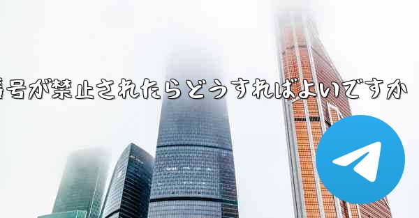 私の紙飛行機の番号が禁止されたらどうすればよいですか