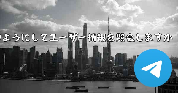 Paper Plane はどのようにしてユーザー情報を照会しますか