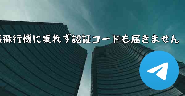 紙飛行機に乗れず認証コードも届きません