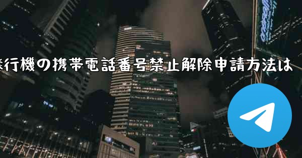 紙飛行機の携帯電話番号禁止解除申請方法は