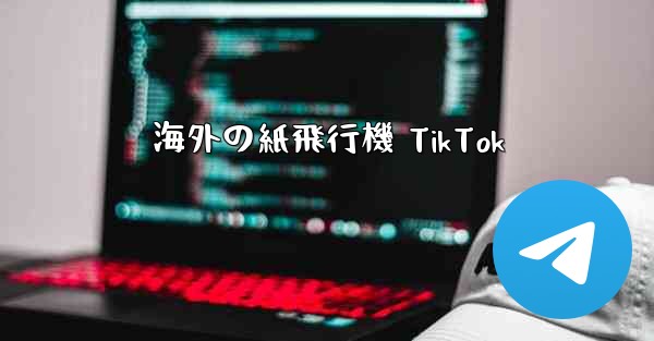 海外の紙飛行機 TikTok