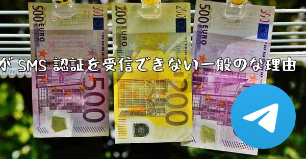 Paper Plane が SMS 認証を受信できない一般のな理由