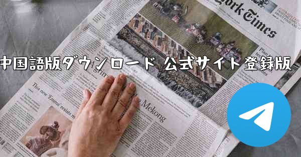 Paper Plane 中国語版ダウンロード 公式サイト登録版