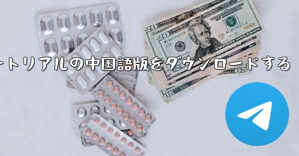 航空機チュートリアルの中国語版をダウンロードする