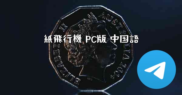 紙飛行機 PC版 中国語