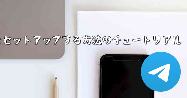 <b>中国語で紙飛行機をセットアップする方法のチュートリアル</b>