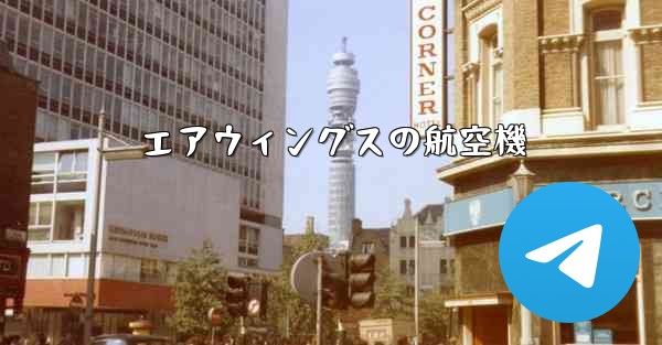 エアウィングスの航空機