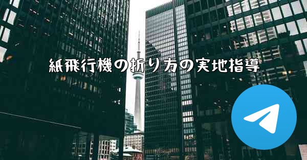 紙飛行機の折り方の実地指導
