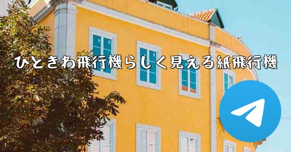 ひときわ飛行機らしく見える紙飛行機