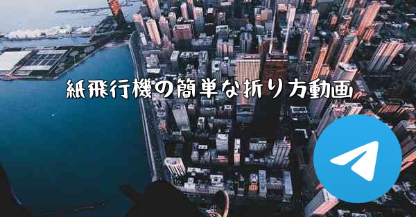 紙飛行機の簡単な折り方動画