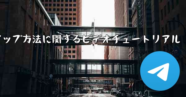 PC 用の中国語版 Paper Plane のセットアップ方法に関するビデオチュートリアル