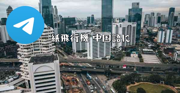 紙飛行機 中国語に