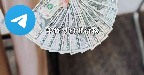 手作り紙飛行機