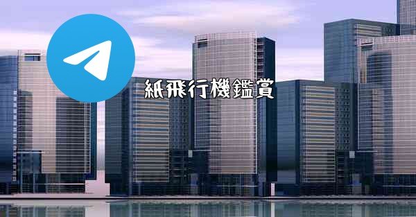 <b>紙飛行機鑑賞</b>