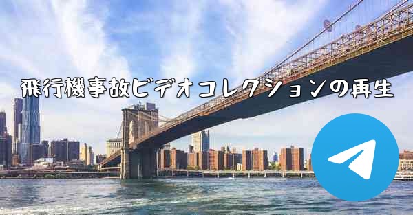 飛行機事故ビデオコレクションの再生