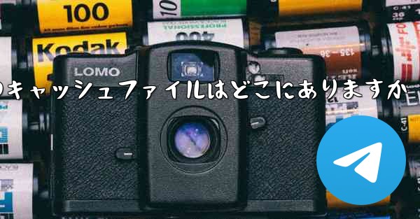 紙飛行機のキャッシュファイルはどこにありますか