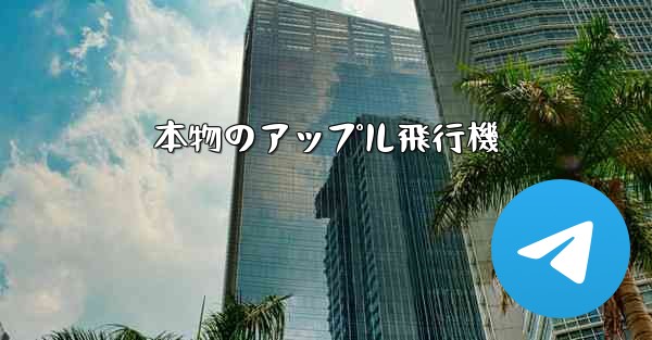 本物のアップル飛行機