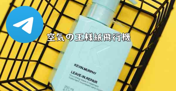 空気の王様紙飛行機