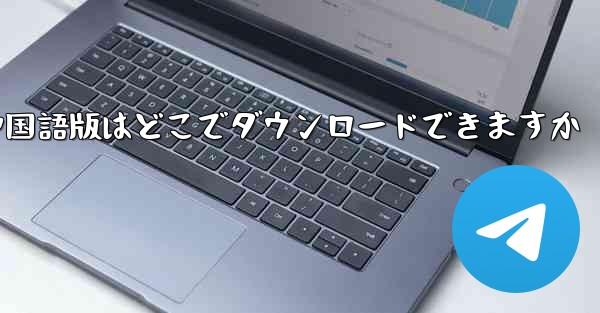 Simple Airplane の中国語版はどこでダウンロードできますか