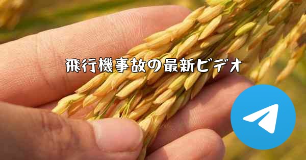 <b>飛行機事故の最新ビデオ</b>