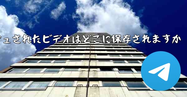 <b>Paper Plane のキャッシュされたビデオはどこに保存されますか</b>