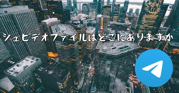 Paper Plane のキャッシュビデオファイルはどこにありますか