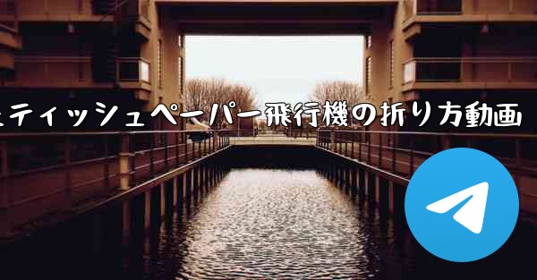 ナイフを使ったティッシュペーパー飛行機の折り方動画