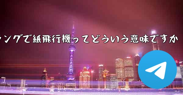 ネットスラングで紙飛行機ってどういう意味ですか