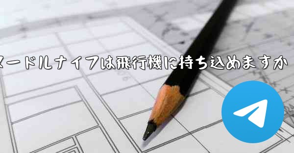 ヌードルナイフは飛行機に持ち込めますか