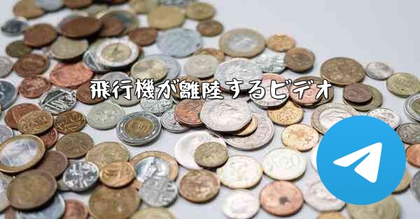 飛行機が離陸するビデオ
