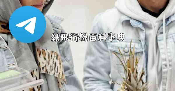 紙飛行機百科事典