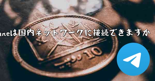 Paper Planeは国内ネットワークに接続できますか