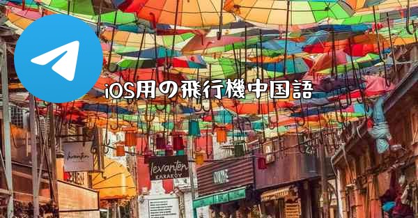iOS用の飛行機中国語