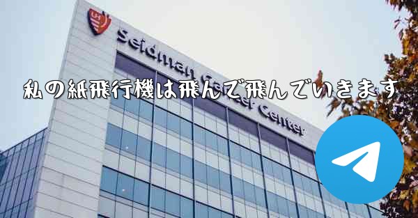 私の紙飛行機は飛んで飛んでいきます