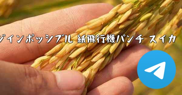 チャレンジインポッシブル 紙飛行機パンチ スイカ