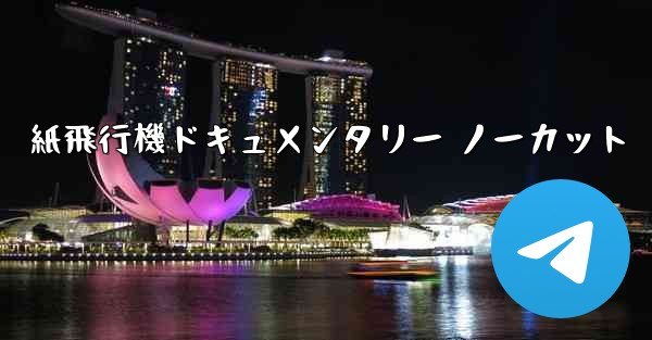 <b>紙飛行機ドキュメンタリー ノーカット</b>