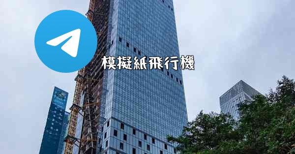 模擬紙飛行機