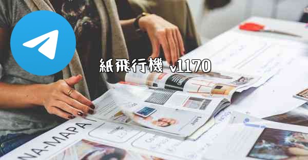 <b>紙飛行機 v1170</b>