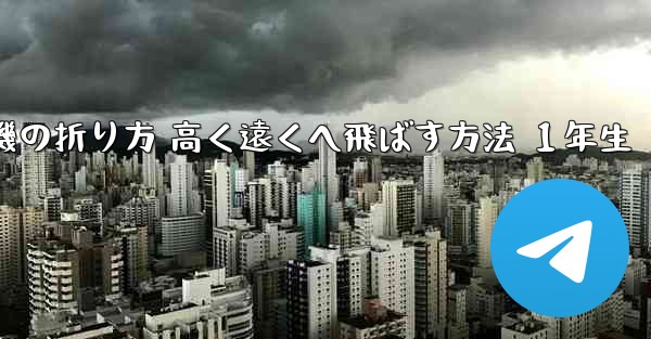紙飛行機の折り方 高く遠くへ飛ばす方法 １年生