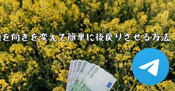 飛行機を向きを変えて簡単に後戻りさせる方法