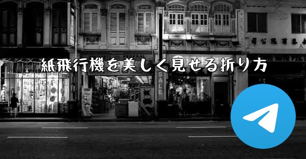 紙飛行機を美しく見せる折り方