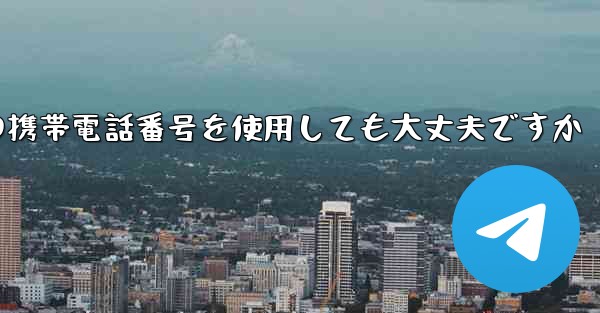 紙飛行機に中国の携帯電話番号を使用しても大丈夫ですか