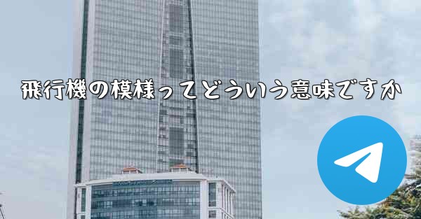 飛行機の模様ってどういう意味ですか