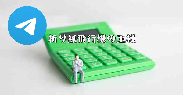 <b>折り紙飛行機の王様</b>