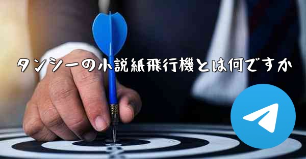 タンシーの小説紙飛行機とは何ですか