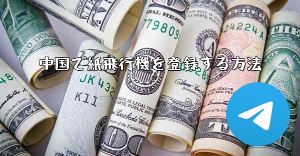 <b>中国で紙飛行機を登録する方法</b>