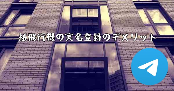 <b>紙飛行機の実名登録のデメリット</b>