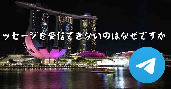 <b>Paper Plane が確認テキスト メッセージを受信できないのはなぜですか</b>
