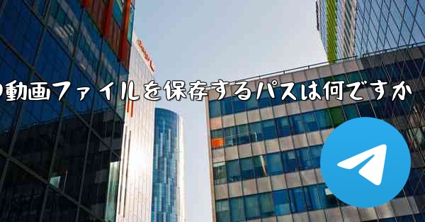 紙飛行機の動画ファイルを保存するパスは何ですか